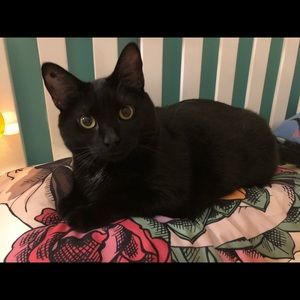 Meet your Posher, Janet